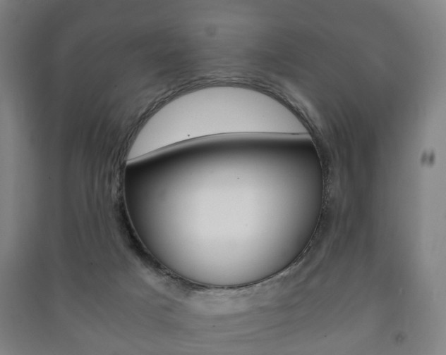 X0000091450025200708161056