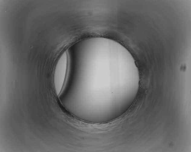 X0000091450027200708161056