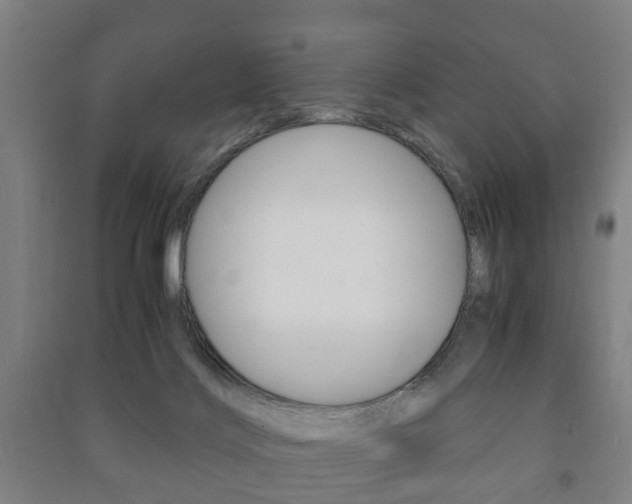 X0000091450028200708161056