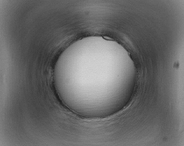 X0000091450029200708161056
