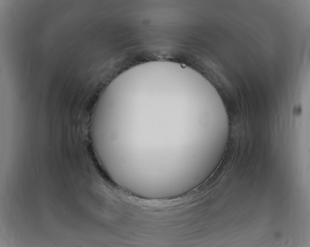X0000091450030200708161056