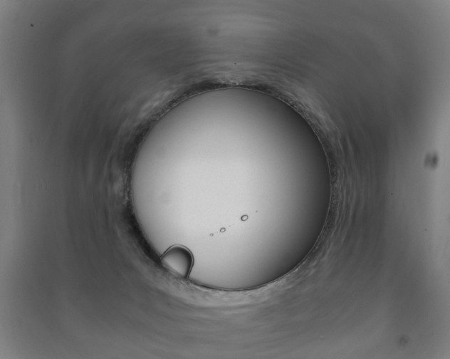 X0000091450031200708161056
