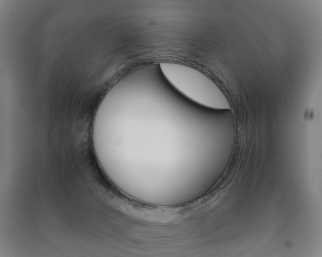 X0000091450032200708161056