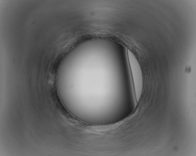 X0000091450033200708161056