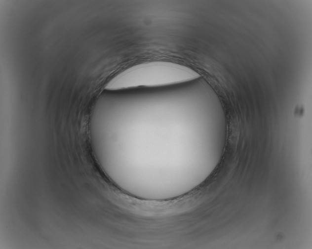 X0000091450034200708161056