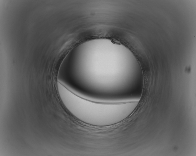 X0000091450035200708161056