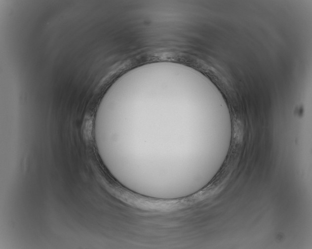X0000091450036200708161056