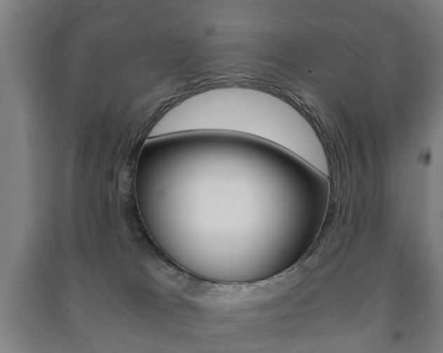 X0000091450037200708161056