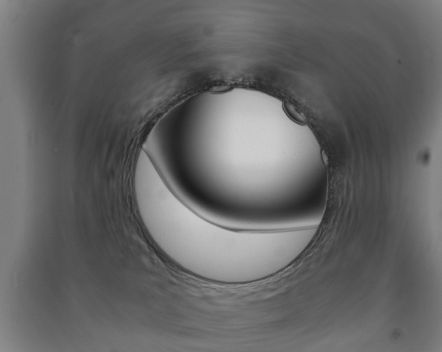 X0000091450039200708161056
