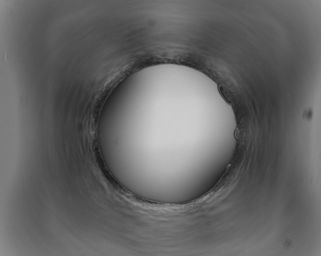X0000091450040200708161056