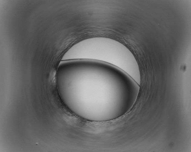 X0000091450041200708161056