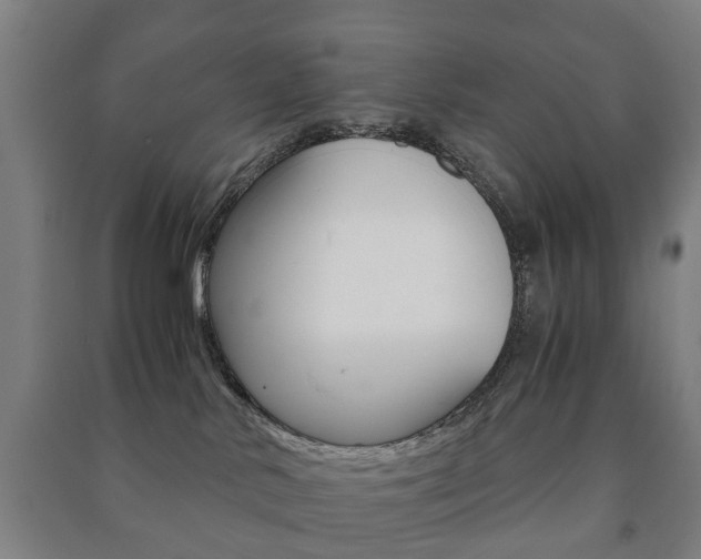 X0000091450042200708161056