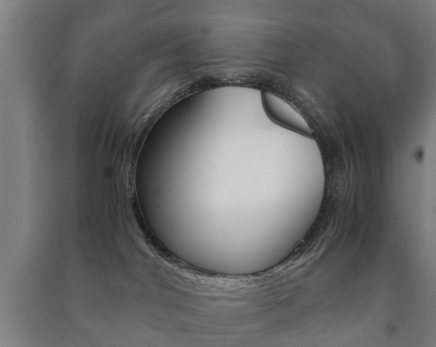 X0000091450044200708161056