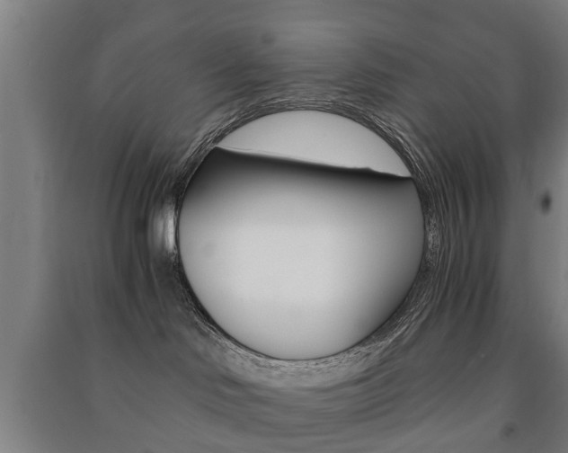 X0000091450046200708161056