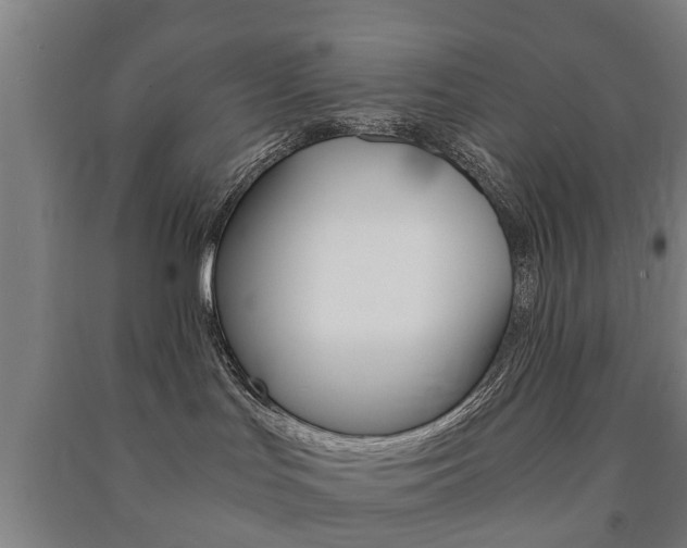 X0000091450047200708161056