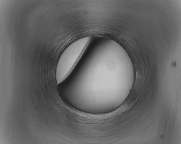 X0000091450048200708161056