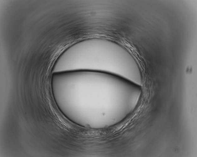 X0000091450049200708161055
