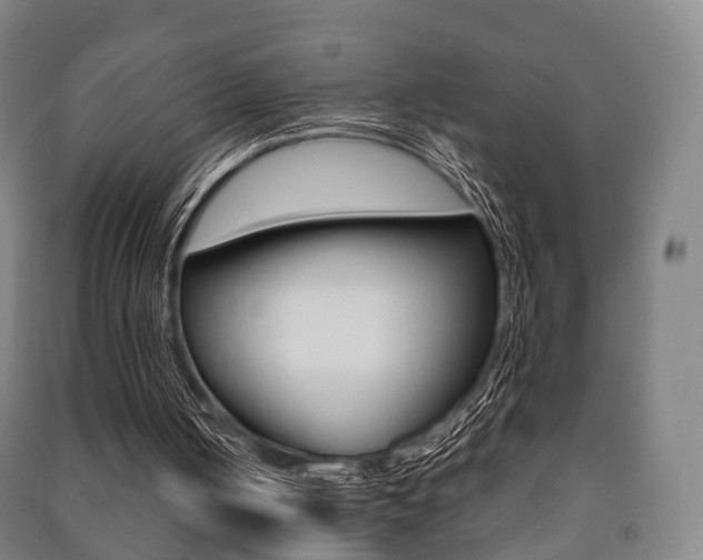 X0000091450050200708161055