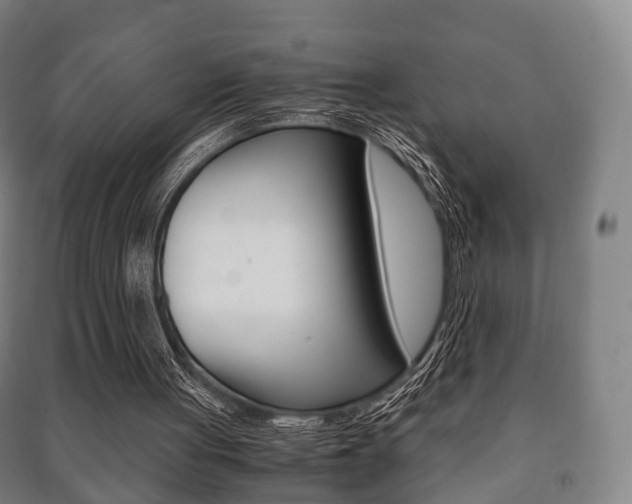 X0000091450051200708161055