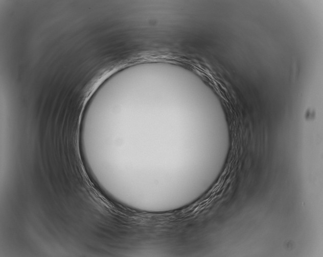 X0000091450052200708161055
