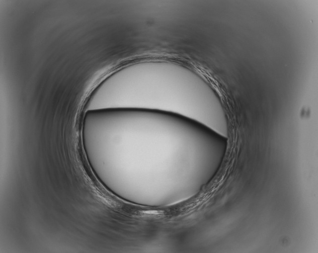 X0000091450053200708161055