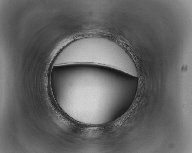 X0000091450054200708161055