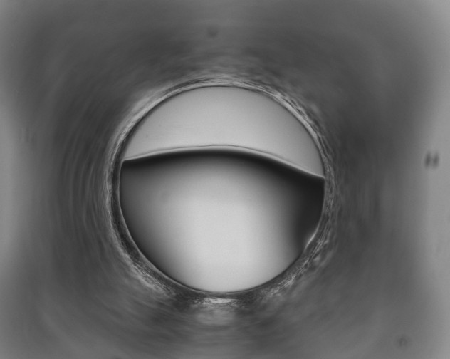 X0000091450055200708161055
