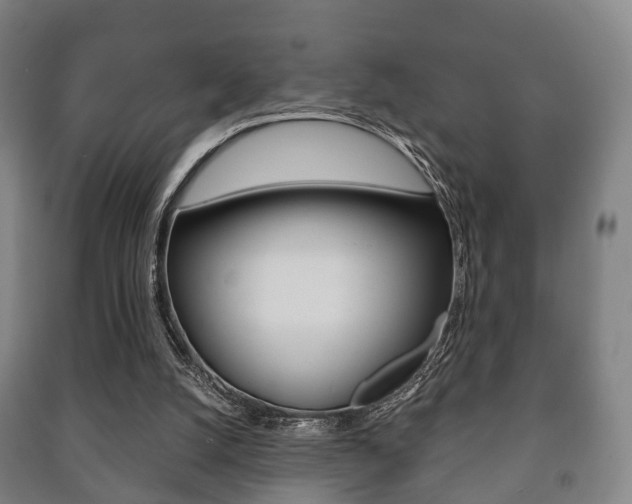 X0000091450056200708161055
