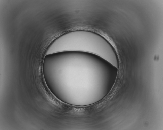 X0000091450057200708161055
