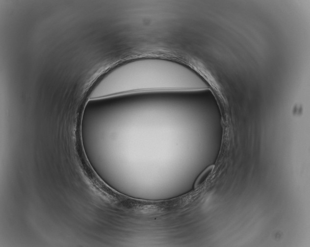 X0000091450058200708161055