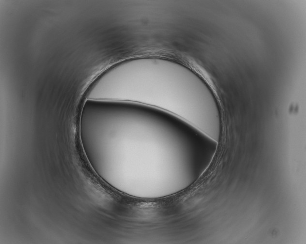 X0000091450059200708161055