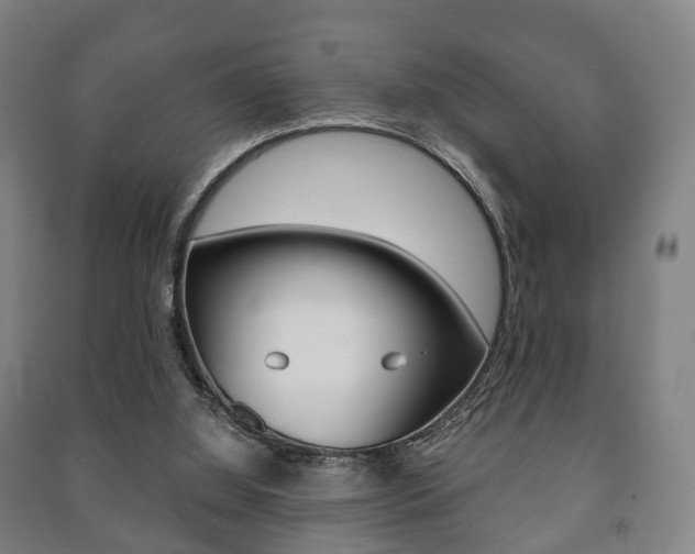 X0000091450060200708161055