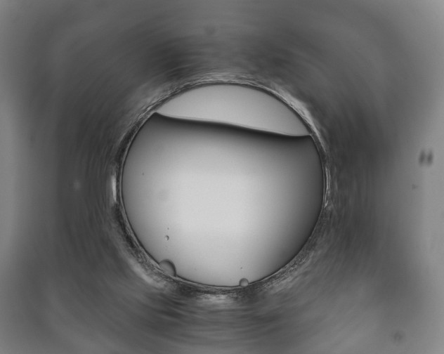 X0000091450061200708161055