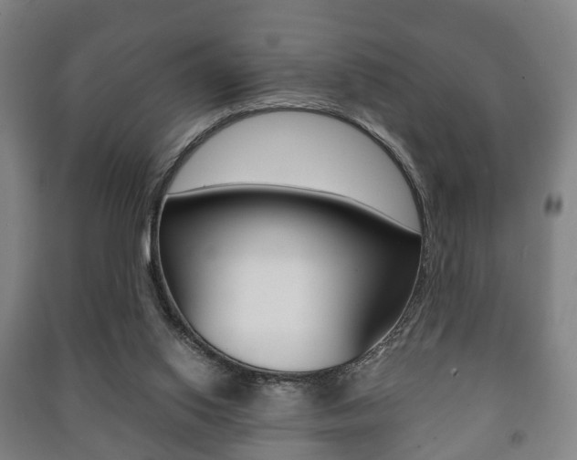 X0000091450062200708161055