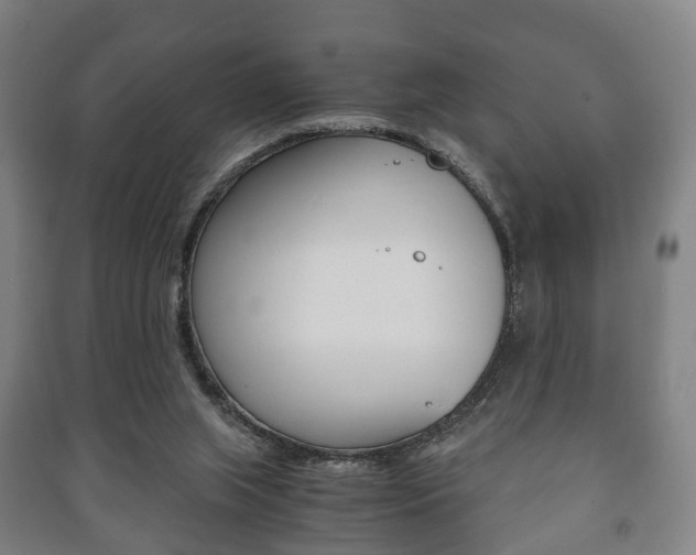 X0000091450063200708161055