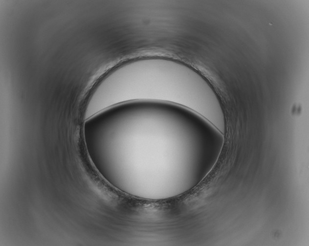 X0000091450064200708161055