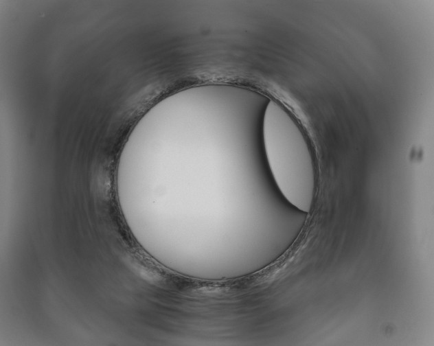 X0000091450065200708161055
