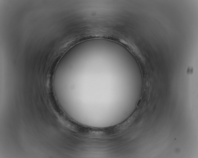 X0000091450066200708161055