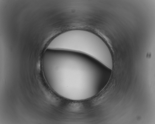 X0000091450067200708161055