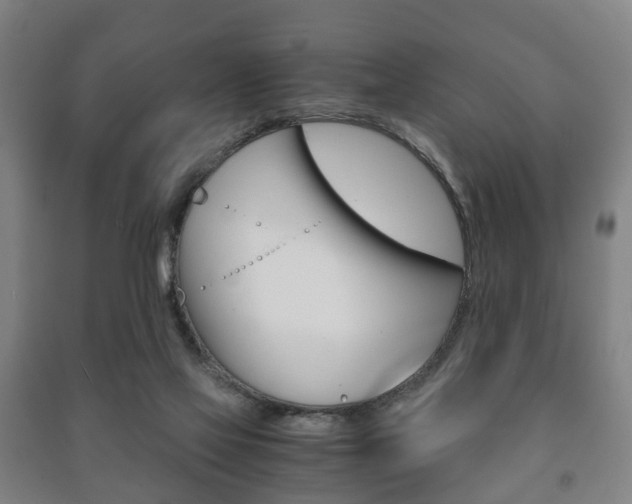 X0000091450069200708161055