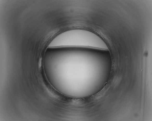 X0000091450070200708161055