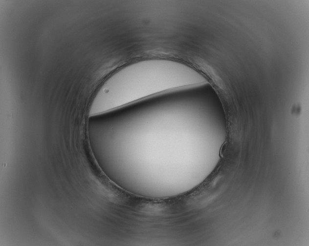 X0000091450071200708161055
