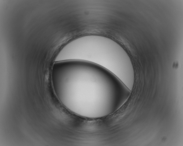 X0000091450072200708161055