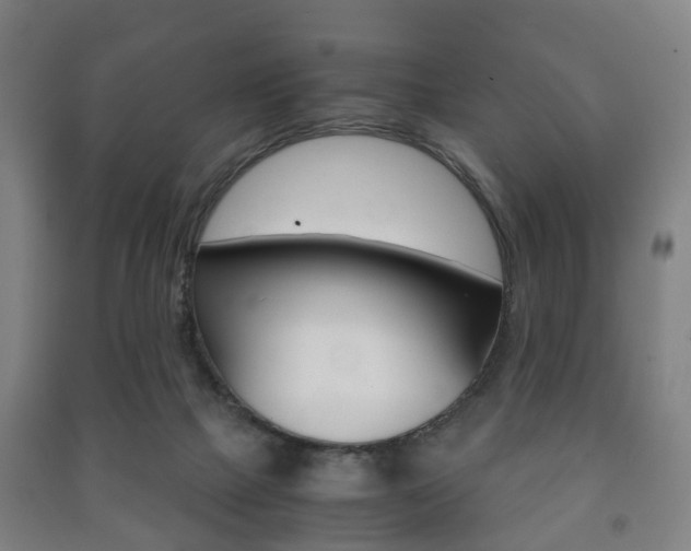 X0000091450073200708161055