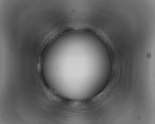 X0000091450074200708161055