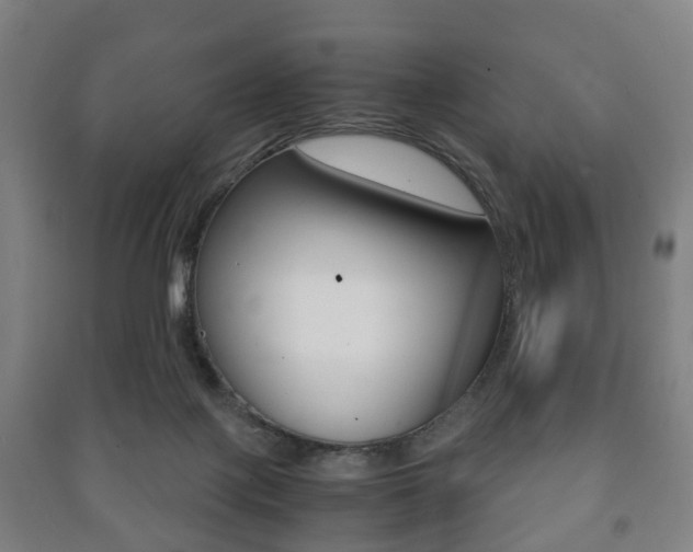 X0000091450075200708161056