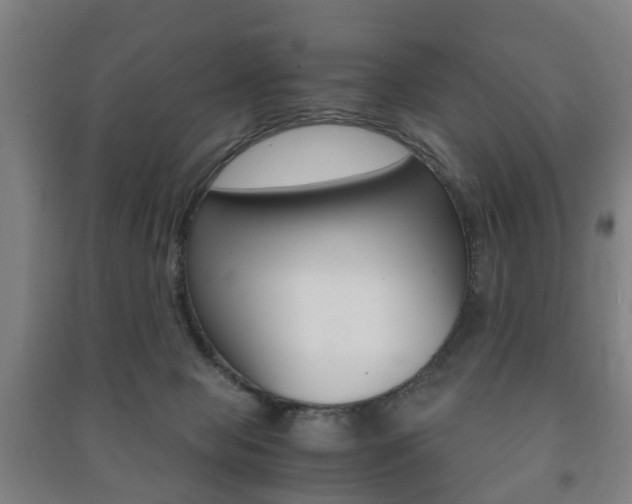 X0000091450077200708161056