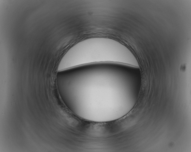 X0000091450078200708161056