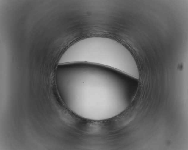 X0000091450079200708161056
