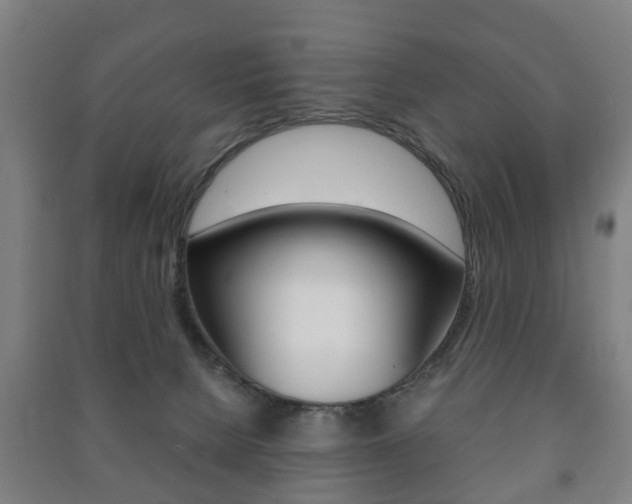 X0000091450080200708161056